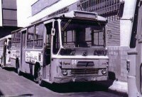 Click aqu� para ampliar la foto