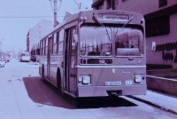 Click aqu� para ampliar la foto