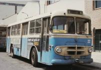 Click aqu� para ampliar la foto