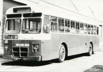 Click aqu� para ampliar la foto