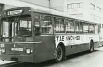 Click aqu� para ampliar la foto