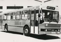 Click aqu� para ampliar la foto