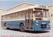 Click aqu� para ampliar la foto