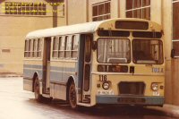 Click aqu� para ampliar la foto