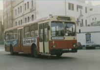 Click aqu� para ampliar la foto