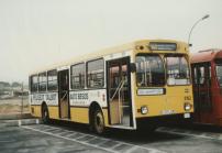 Click aqu� para ampliar la foto