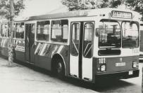 Click aqu� para ampliar la foto