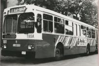 Click aqu� para ampliar la foto