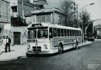 Click aqu� para ampliar la foto