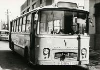 Click aqu� para ampliar la foto