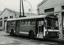 Click aqu� para ampliar la foto