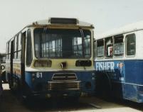 Click aqu� para ampliar la foto