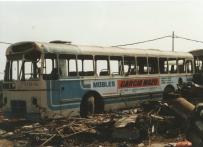 Click aqu� para ampliar la foto