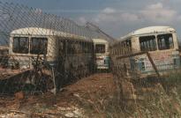 Click aqu� para ampliar la foto