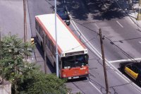 Foto Pere París