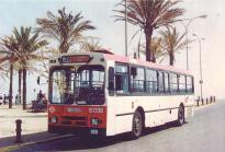 En el terminal de la Barceloneta, Pl. Palmeras. Foto de J.A.Solsona