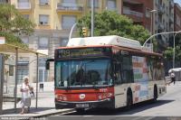 c. Cerdenya, jul.2018
