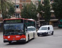 Pl. Lluchmajor, abril 2015