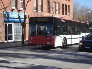 Cta. Ribes, enero 2009