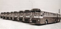 Autobuses de la línea 257 en la cochera de Levante. 17/7/1967. Archivo TMB