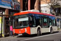 Av. Els Quinze, dic.2021