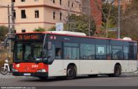Pº Vall d´Hebró, enero 2021