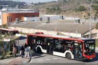 Torrent del Bosc, enero 2022