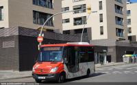 Cta. de Ribas, nov.2020