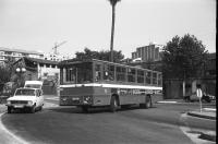 Santa Eulalia. Foto Miquel Llevat, 1/7/1976