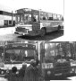 Autobuses de THOSA. Foto El Periodico del Llobregat